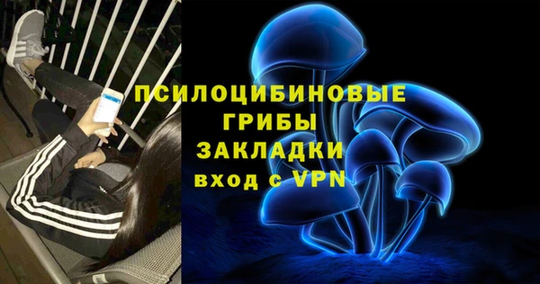 твердый Арсеньев
