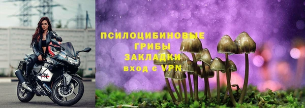 трава Армянск