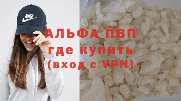 твердый Арсеньев